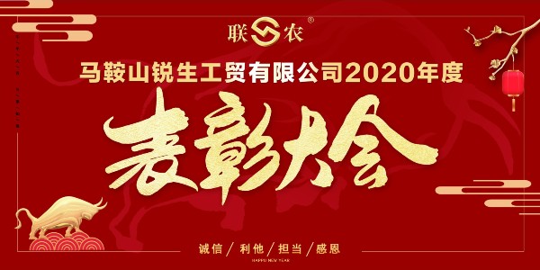 2020年度锐生公司表彰大会顺利举行